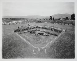 Group portrait of Rincon Valley Little League teams, Santa Rosa, California, 1963