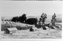 Free range chicken ranch, Petaluma, California, 1910