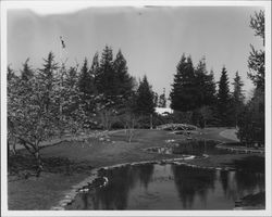 Juilliard Park, Santa Rosa, California, 1959