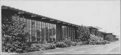 McKinley School, Petaluma, California, 1957