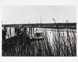 Fishermen along the Petaluma River