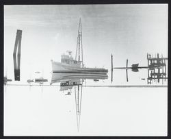 Ships anchored in Bodega Bay