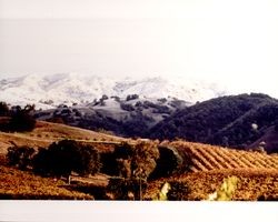 Snow covered hills near Gauer Vineyards