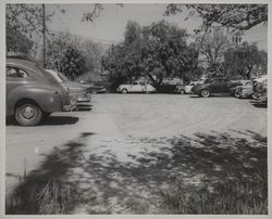 Santa Rosa Steam Laundry and Dry Cleaners, Santa Rosa, California, April 1956