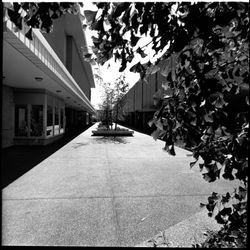 Exterior scenes at Coddingtown Shopping Center, Santa Rosa, California, May 26, 1971