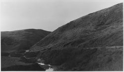 Coast Highway 1 between Bodega and Bodega Bay