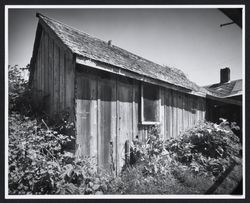 Russian cabin on the Mann Ranch