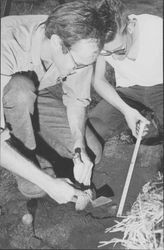 Cleaning rock chips during an archeological dig at the Petaluma Adobe, Petaluma, California, 1962