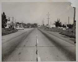 Highway 101 near Santa Rosa, California, March 27, 1954