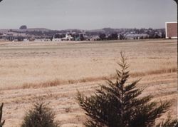 View of Highway 101 bridge over the Petaluma River from Lakeville Highway, 1977