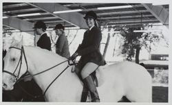 Dressage at the Beck Arena at the Sonoma County Fair, Santa Rosa, California