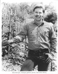 Mike Benziger, managing general partner of Glen Ellen Winery, standing amongst a vineyard, Glen Ellen, California