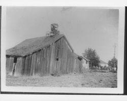 Barn on Wilson Street, Petaluma, California, 1955