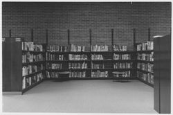 Patrons using the Dagny Juell Boys and Girls Room of the Library