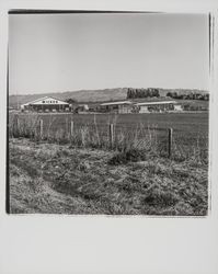 Wickes Lumber, Petaluma, California, 1977