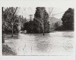 Streets of Guerneville during flood of Dec. 1937