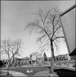 View of the Gaslight Apartments grounds, 3637 Sonoma Avenue, Santa Rosa, California, January 10, 1972