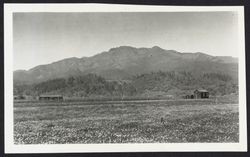 View of Hood Mountain