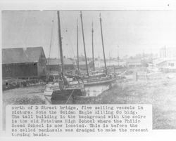 North of D Street bridge, five sailing vessels in picture