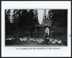 W. E. Baumert and his chickens at Camp Meeker