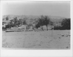 Chicken farm near Petaluma, California, , July 5, 1920