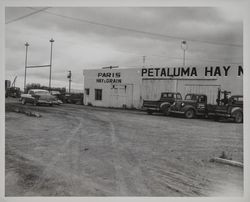 Paris Hay & Grain and the Petaluma Hay Market building, Petaluma, California, May 10, 1956