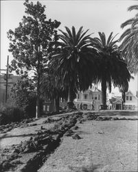 Workers digging in Hill Plaza Park, Petaluma, California, February, 1958