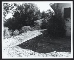 Corner and side view of an unidentified Sonoma County house, about 1960