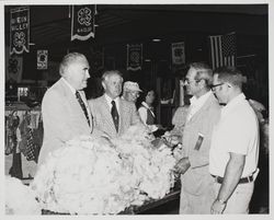 Sheep wool judging at the Sonoma County Fair, Santa Rosa, California