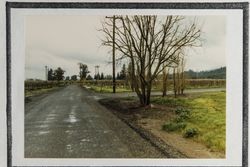 Corner of Magnolia Drive and the entrance to the Alderbrook Vineyards