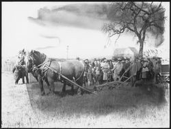 Ground-breaking procession at the commencement of work on the Burbank Memorial Park at Santa Rosa Junior College