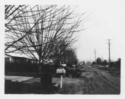 2021 Blue Bell Drive, Santa Rosa, California, looking east, Feb. 8, 1968