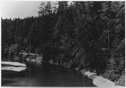 Unidentified view of the Austin Creek below Cazadero, about 1969