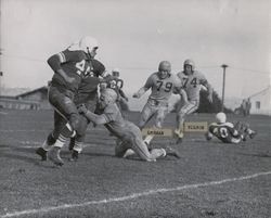 Defensive play during Petaluma Leghorn game against the San Francisco Presidio