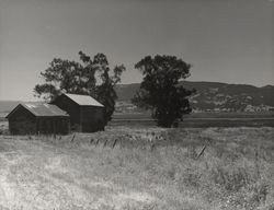 Scene taken along Petaluma River, Petaluma, California, about 1970