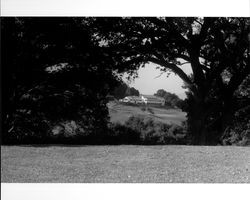 Petaluma Golf and Country Club grounds and building