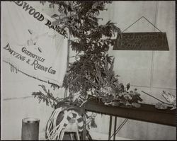 Redwood Rangers Flower Show exhibit at the Sonoma County Fair, Santa Rosa, California, July 1957