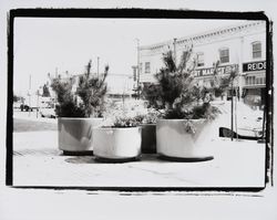 Third Street side of Courthouse Square, Santa Rosa , California, 1968