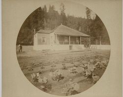 Ranch home of Otis Angell near Healdsburg, California, about 1900