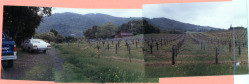 Laurel Glen Winery, 1984 : View of winery from side entrance