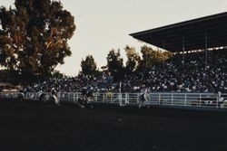 View of arena grandstand at the Mexican Rodeo at the Sonoma County Fair, Santa Rosa, California