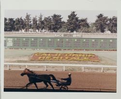 Horse and sulky trot on the track at the Sonoma County Fair, Santa Rosa, California, 1964