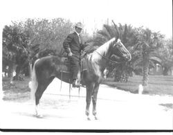 Ivan Stice on horseback, Petaluma, California, 1911