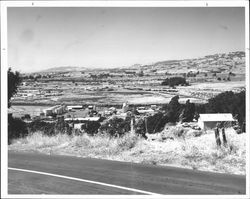 View of Petaluma, California from Redwood Highway south of town, 1939