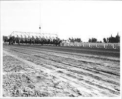 Horse race at the Fairgrounds