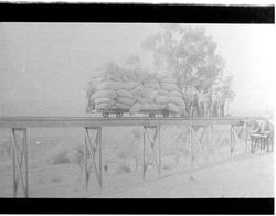 Men standing on a railroad trestle next to a rail car piled high with sacks of hops