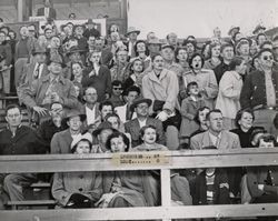 Spectators at the Petaluma Leghorn game against Lodi