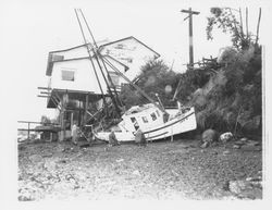 Jan-B washed ashore by a winter storm, Bodega Bay, California, January 1959