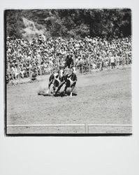 Guerneville rodeo, Guerneville, California, 1978