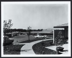 Wikiup Greens, Santa Rosa, California, 1963